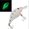 Night Fishing Bait Lure Hard With Two Triangle Hooks